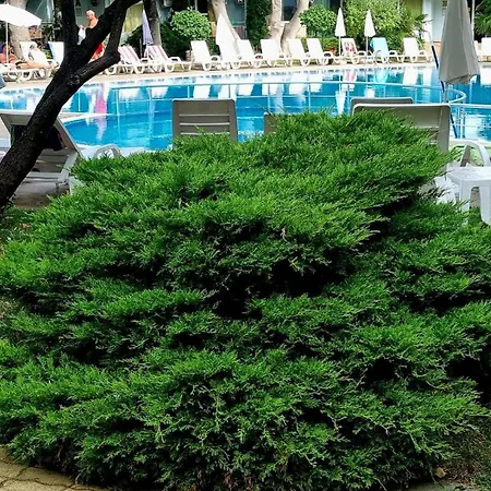Niko Apartament *