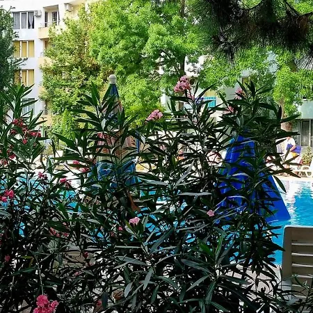Niko Apartament