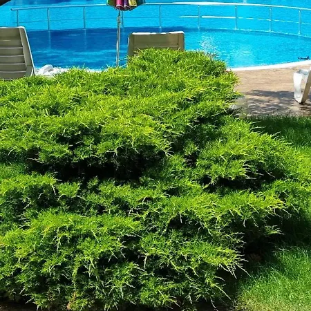 Apartament Niko