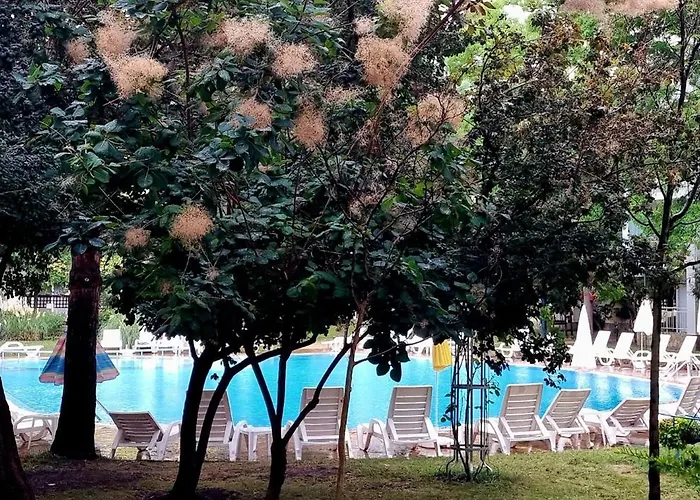 Niko Daire Sunny Beach